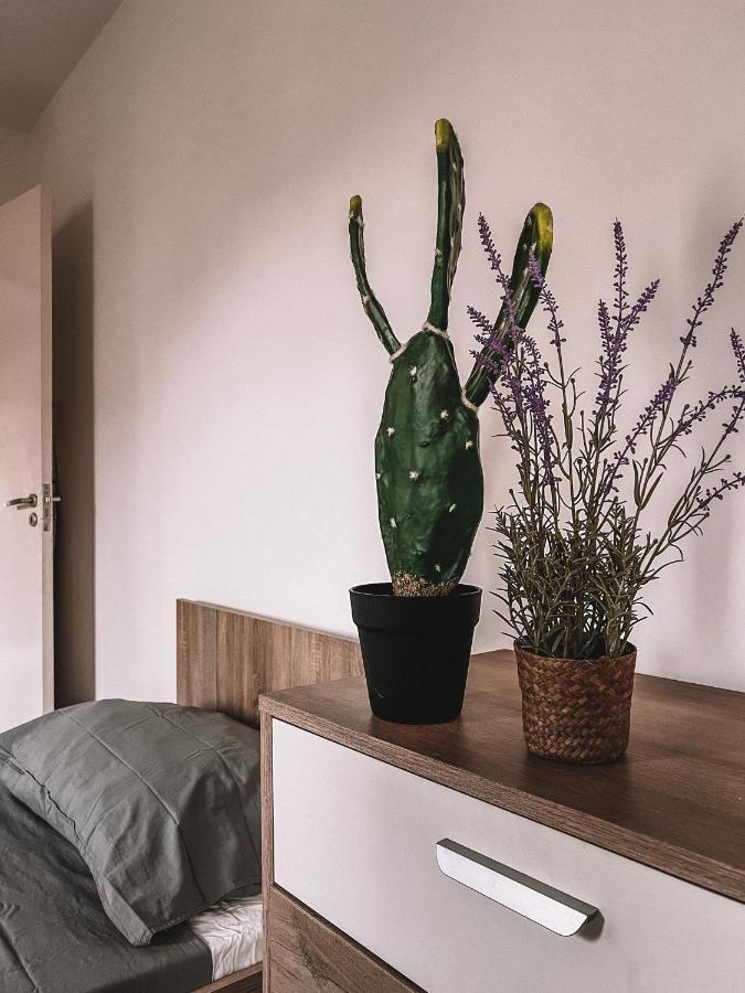 Cozy 3 Bedrooms Flat In Paceville Saint Julian's Eksteriør bilde